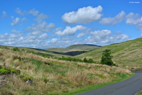 Tarras Valley Nature Reserve